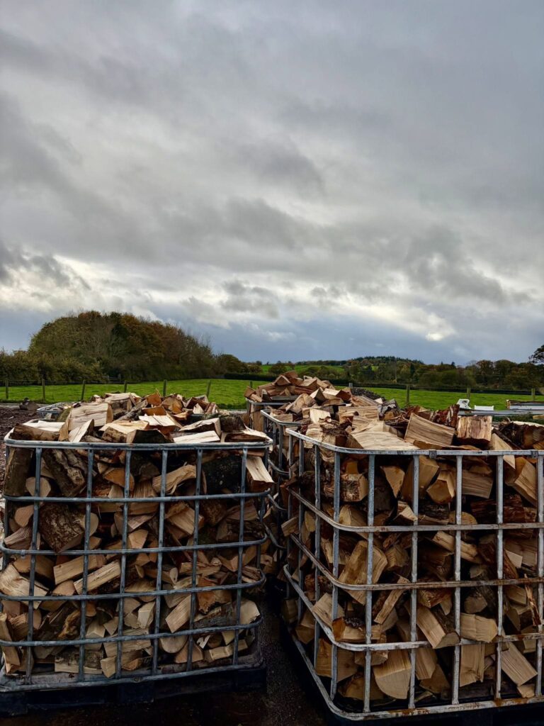 oak timber 2